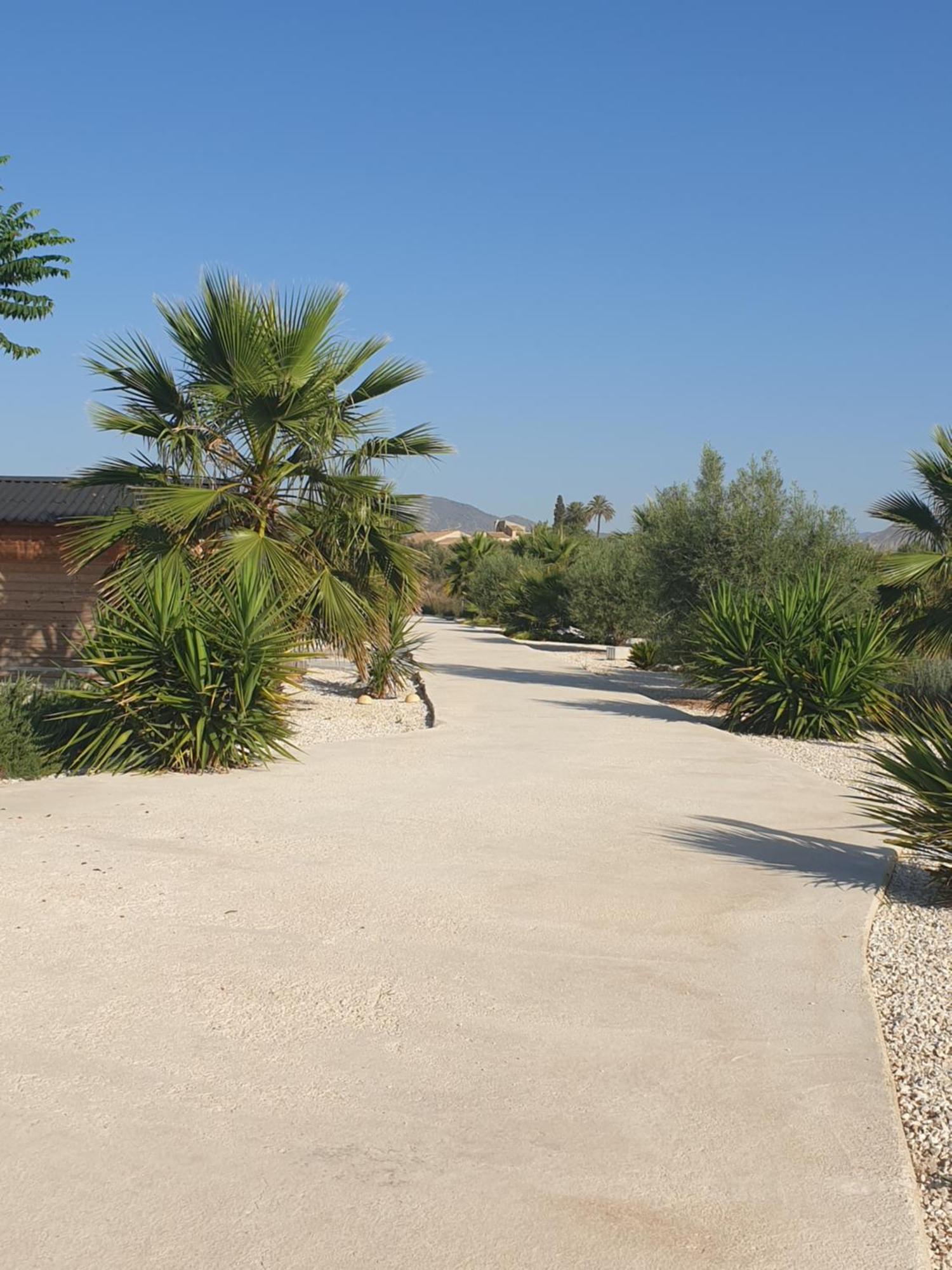 Casa De La Vida Liebetruth A Villa Aspe Ngoại thất bức ảnh