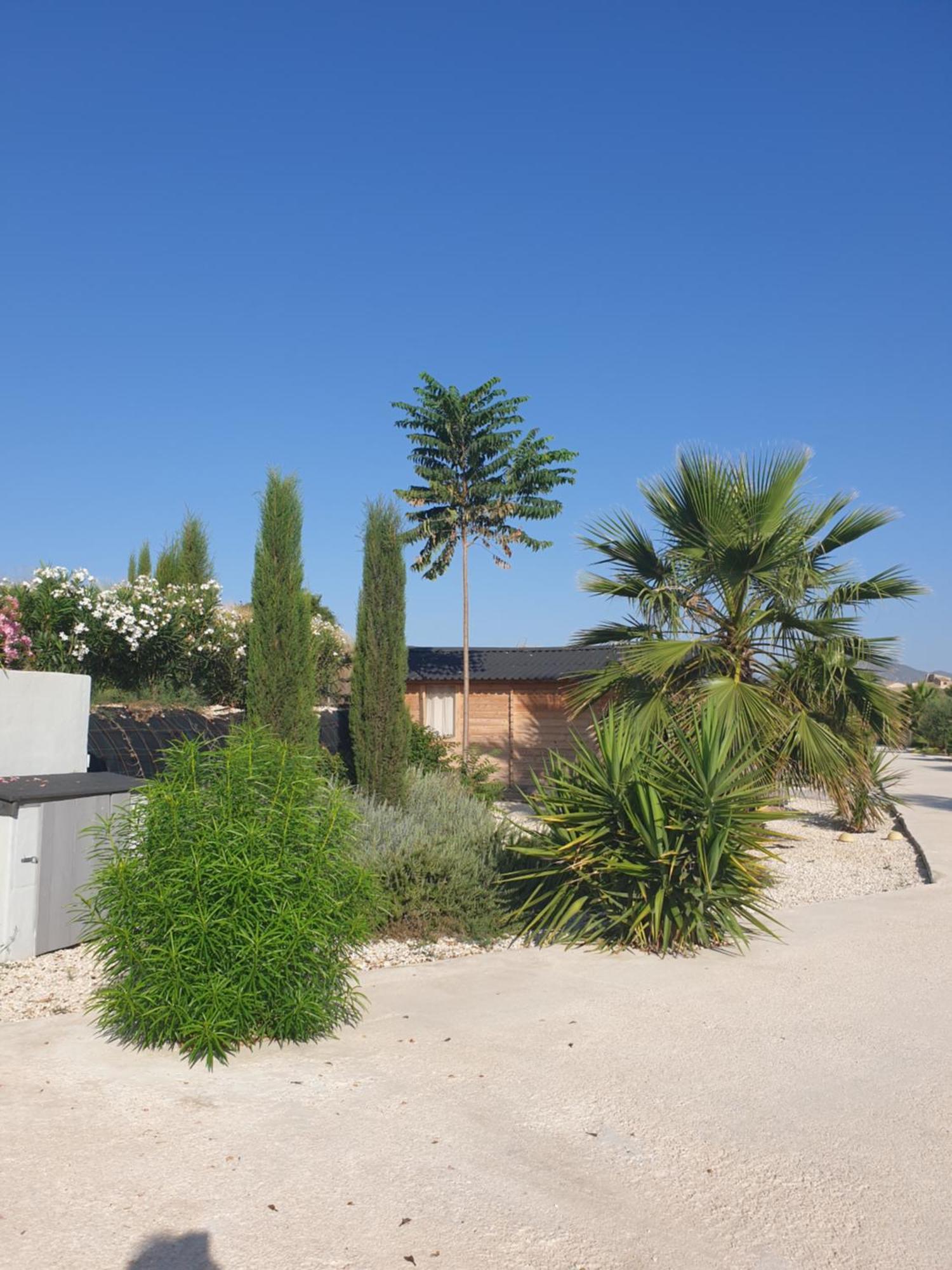Casa De La Vida Liebetruth A Villa Aspe Ngoại thất bức ảnh